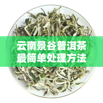 云南景谷普洱茶最简单处理方法，快速了解：云南景谷普洱茶的最简单处理方法