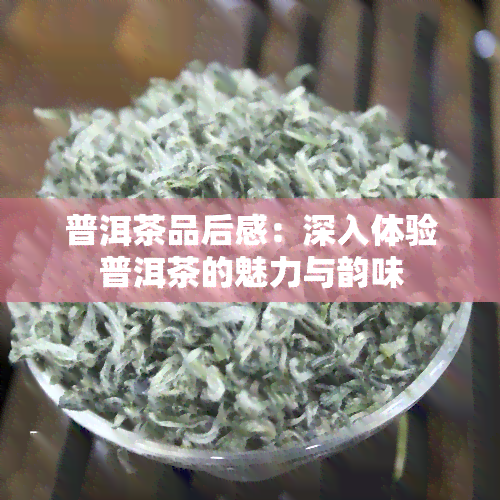 普洱茶品后感：深入体验普洱茶的魅力与韵味