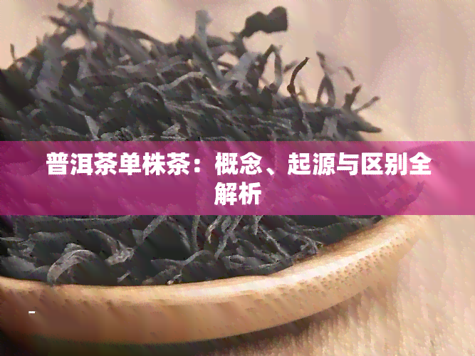 普洱茶单株茶：概念、起源与区别全解析