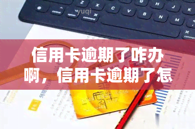 信用卡逾期了咋办啊，信用卡逾期了怎么办？教你解决逾期问题的四个步骤