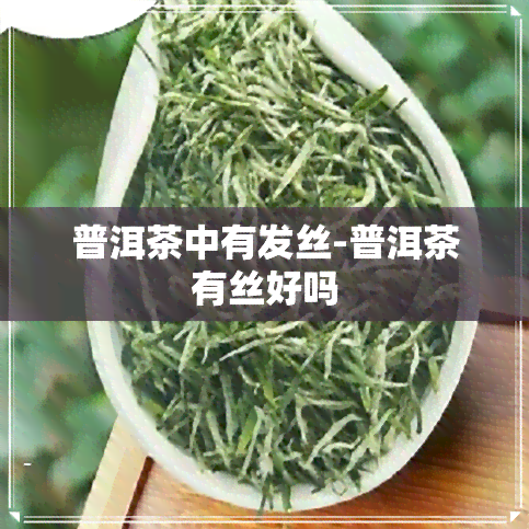 普洱茶中有发丝-普洱茶有丝好吗