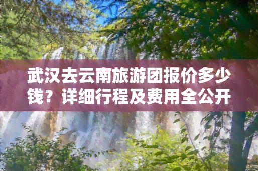 武汉去云南旅游团报价多少钱？详细行程及费用全公开！