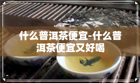 什么普洱茶便宜-什么普洱茶便宜又好喝