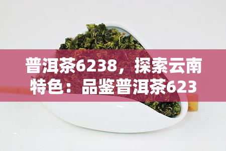 普洱茶6238，探索云南特色：品鉴普洱茶6238的独特韵味