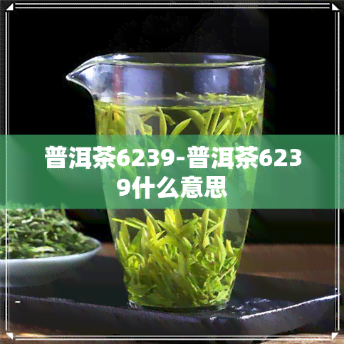 普洱茶6239-普洱茶6239什么意思