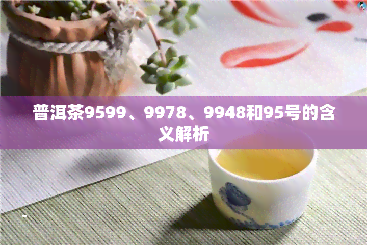 普洱茶9599、9978、9948和95号的含义解析