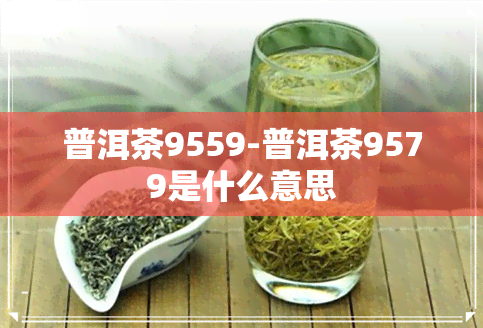 普洱茶9559-普洱茶9579是什么意思