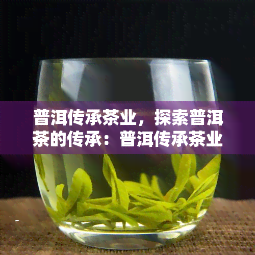 普洱传承茶业，探索普洱茶的传承：普洱传承茶业的故事与价值