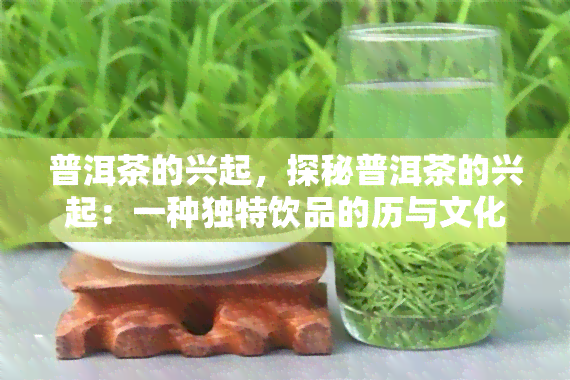 普洱茶的兴起，探秘普洱茶的兴起：一种独特饮品的历与文化价值