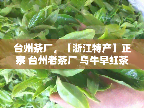 台州茶厂，【浙江特产】正宗 台州老茶厂 乌牛早红茶 天台高山云雾茶 普洱茶 礼盒装茶叶 春茶 新茶 喝了还想喝的好茶值得回购！