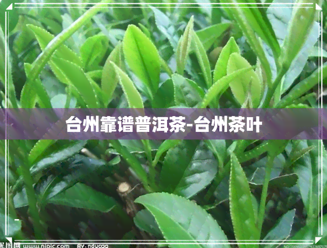 台州靠谱普洱茶-台州茶叶