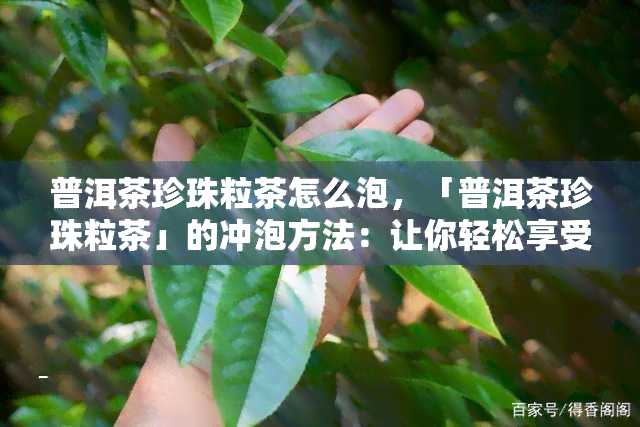 普洱茶珍珠粒茶怎么泡，「普洱茶珍珠粒茶」的冲泡方法：让你轻松享受口感独特的饮品！