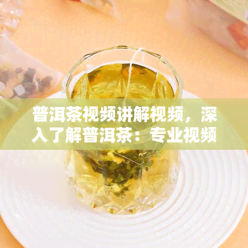 普洱茶视频讲解视频，深入了解普洱茶：专业视频讲解