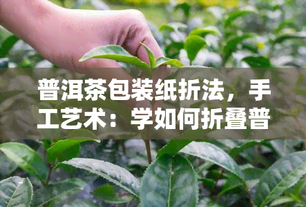 普洱茶包装纸折法，手工艺术：学如何折叠普洱茶包装纸