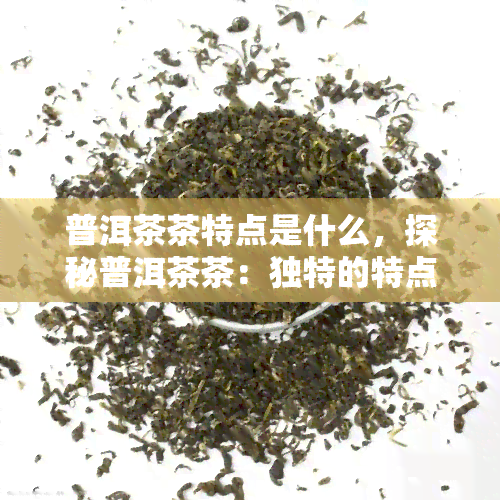 普洱茶茶特点是什么，探秘普洱茶茶：独特的特点与魅力