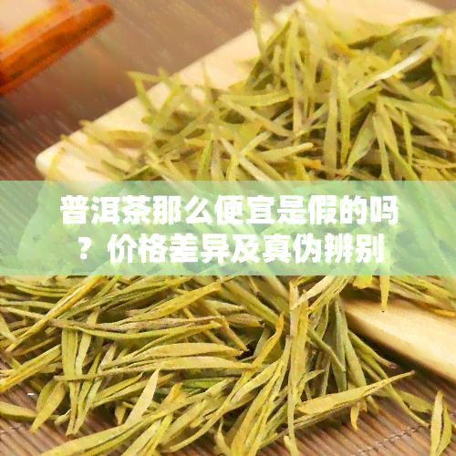 普洱茶那么便宜是假的吗？价格差异及真伪辨别