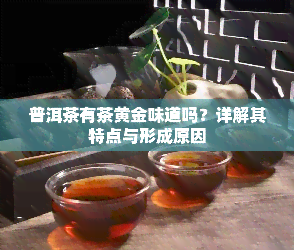 普洱茶有茶黄金味道吗？详解其特点与形成原因