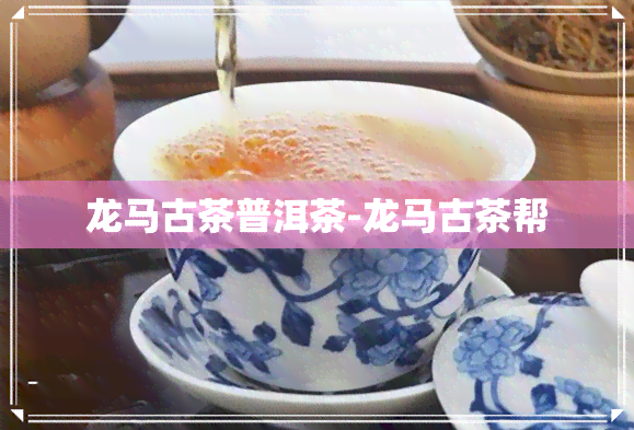 龙马古茶普洱茶-龙马古茶帮