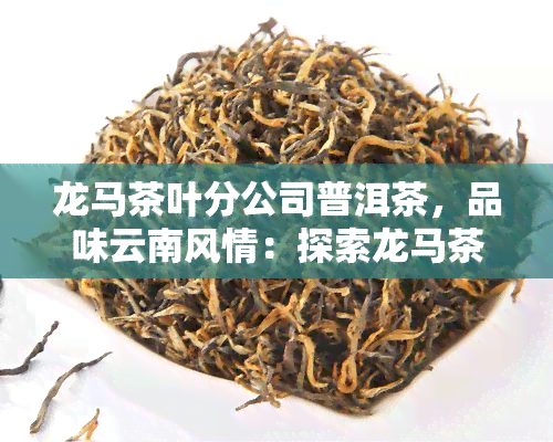 龙马茶叶分公司普洱茶，品味云南风情：探索龙马茶叶分公司普洱茶的世界