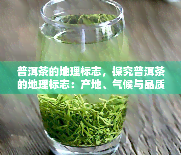 普洱茶的地理标志，探究普洱茶的地理标志：产地、气候与品质的关系