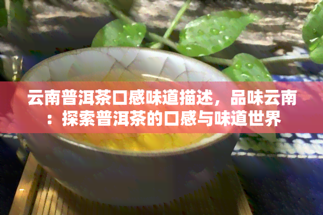 云南普洱茶口感味道描述，品味云南：探索普洱茶的口感与味道世界