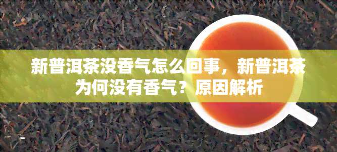 新普洱茶没香气怎么回事，新普洱茶为何没有香气？原因解析