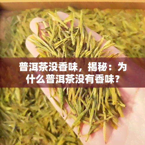 普洱茶没香味，揭秘：为什么普洱茶没有香味？