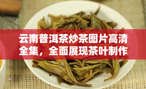 云南普洱茶炒茶图片高清全集，全面展现茶叶制作过程