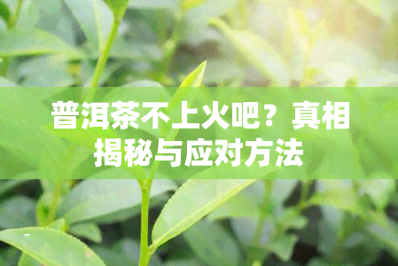 普洱茶不上火吧？真相揭秘与应对方法