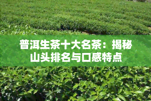 普洱生茶十大名茶：揭秘山头排名与口感特点