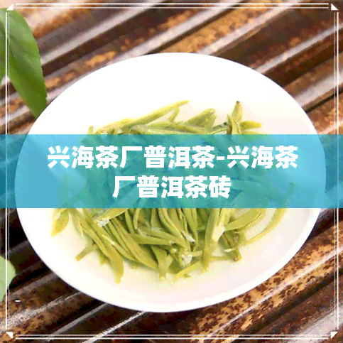 兴海茶厂普洱茶-兴海茶厂普洱茶砖