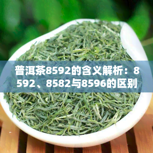 普洱茶8592的含义解析：8592、8582与8596的区别及品质评估