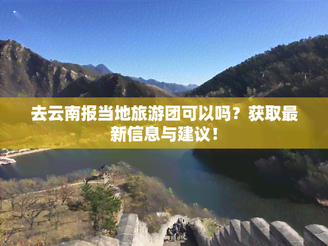 去云南报当地旅游团可以吗？获取最新信息与建议！