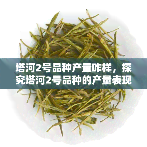 塔河2号品种产量咋样，探究塔河2号品种的产量表现