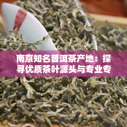 南京知名普洱茶产地：探寻优质茶叶源头与专业专卖店