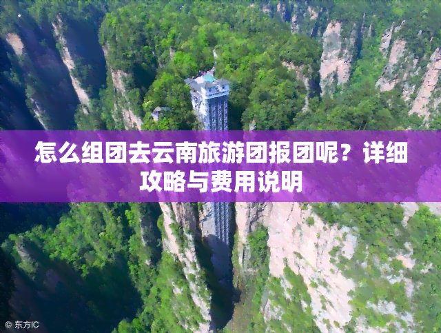 怎么组团去云南旅游团报团呢？详细攻略与费用说明