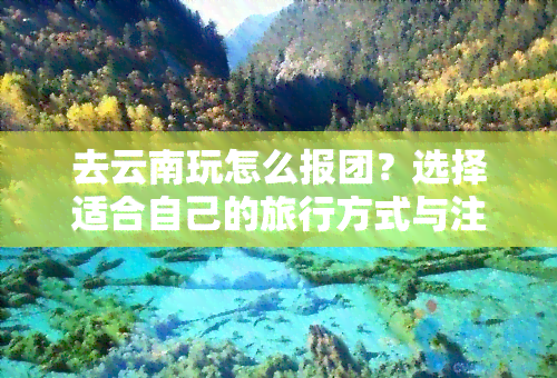 去云南玩怎么报团？选择适合自己的旅行方式与注意事项