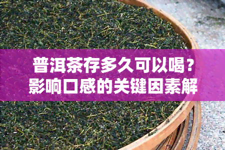 普洱茶存多久可以喝？影响口感的关键因素解析