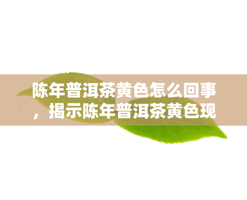 陈年普洱茶黄色怎么回事，揭示陈年普洱茶黄色现象的原因