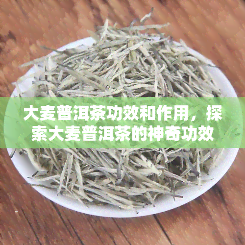 大麦普洱茶功效和作用，探索大麦普洱茶的神奇功效与作用