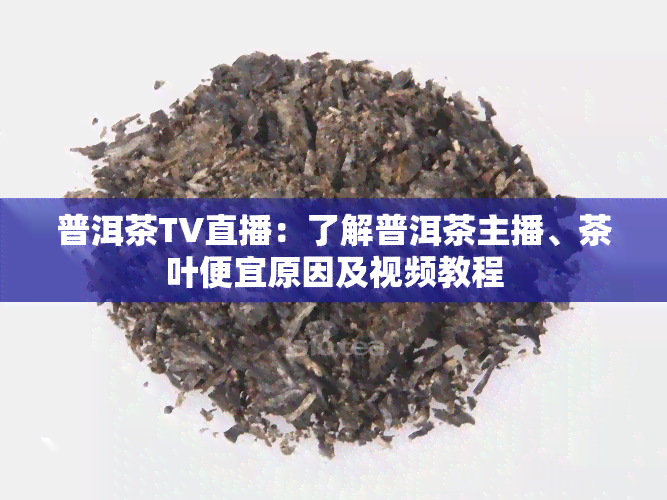 普洱茶TV直播：了解普洱茶主播、茶叶便宜原因及视频教程