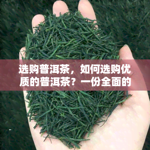 选购普洱茶，如何选购优质的普洱茶？一份全面的购买指南