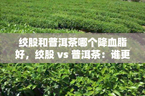 绞股和普洱茶哪个降血脂好，绞股 vs 普洱茶：谁更有效降低血脂？