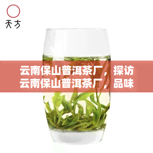 云南保山普洱茶厂，探访云南保山普洱茶厂，品味千年古韵与清新茶香