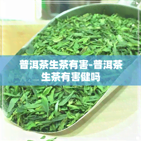 普洱茶生茶有害-普洱茶生茶有害健吗