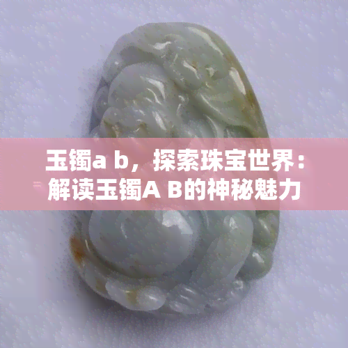 玉镯a b，探索珠宝世界：解读玉镯A B的神秘魅力