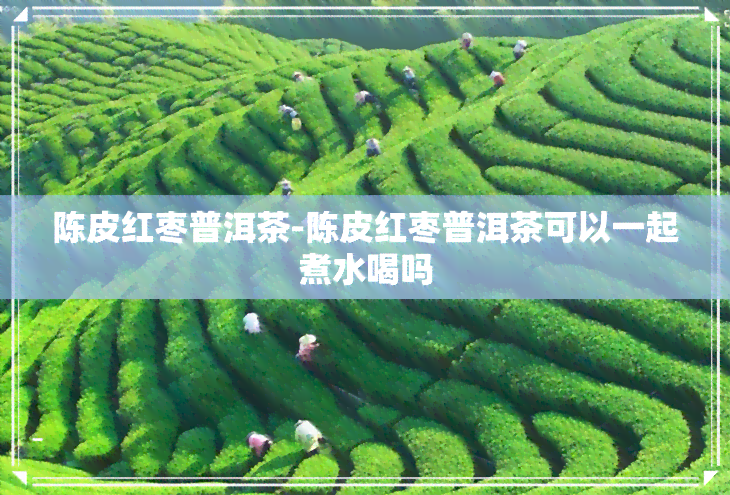 陈皮红枣普洱茶-陈皮红枣普洱茶可以一起煮水喝吗