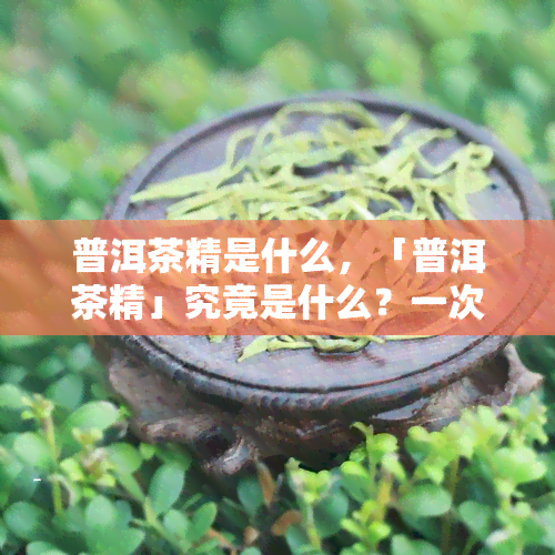 普洱茶精是什么，「普洱茶精」究竟是什么？一次深入了解普洱茶的精华！