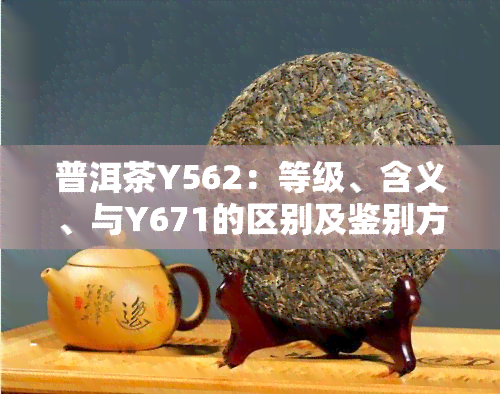 普洱茶Y562：等级、含义、与Y671的区别及鉴别方法，了解其功效与分类