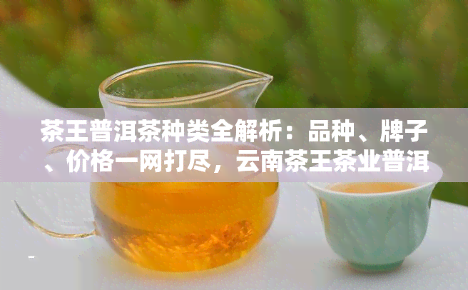 茶王普洱茶种类全解析：品种、牌子、价格一网打尽，云南茶王茶业普洱茶十大名牌推荐